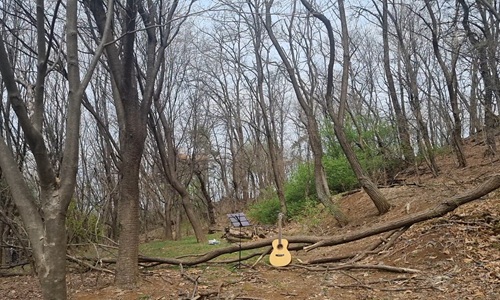 guitar event